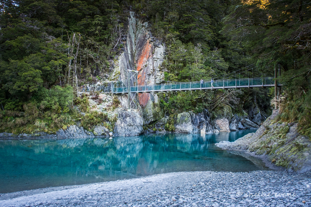 Scenic Road Trips in New Zealand: Haast Pass