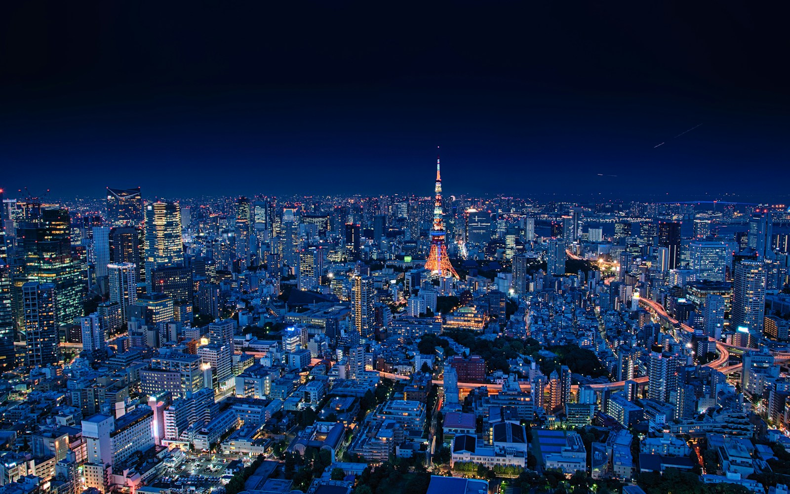 Tokyo travel ideas: aerial view of Tokyo city buildings during night time