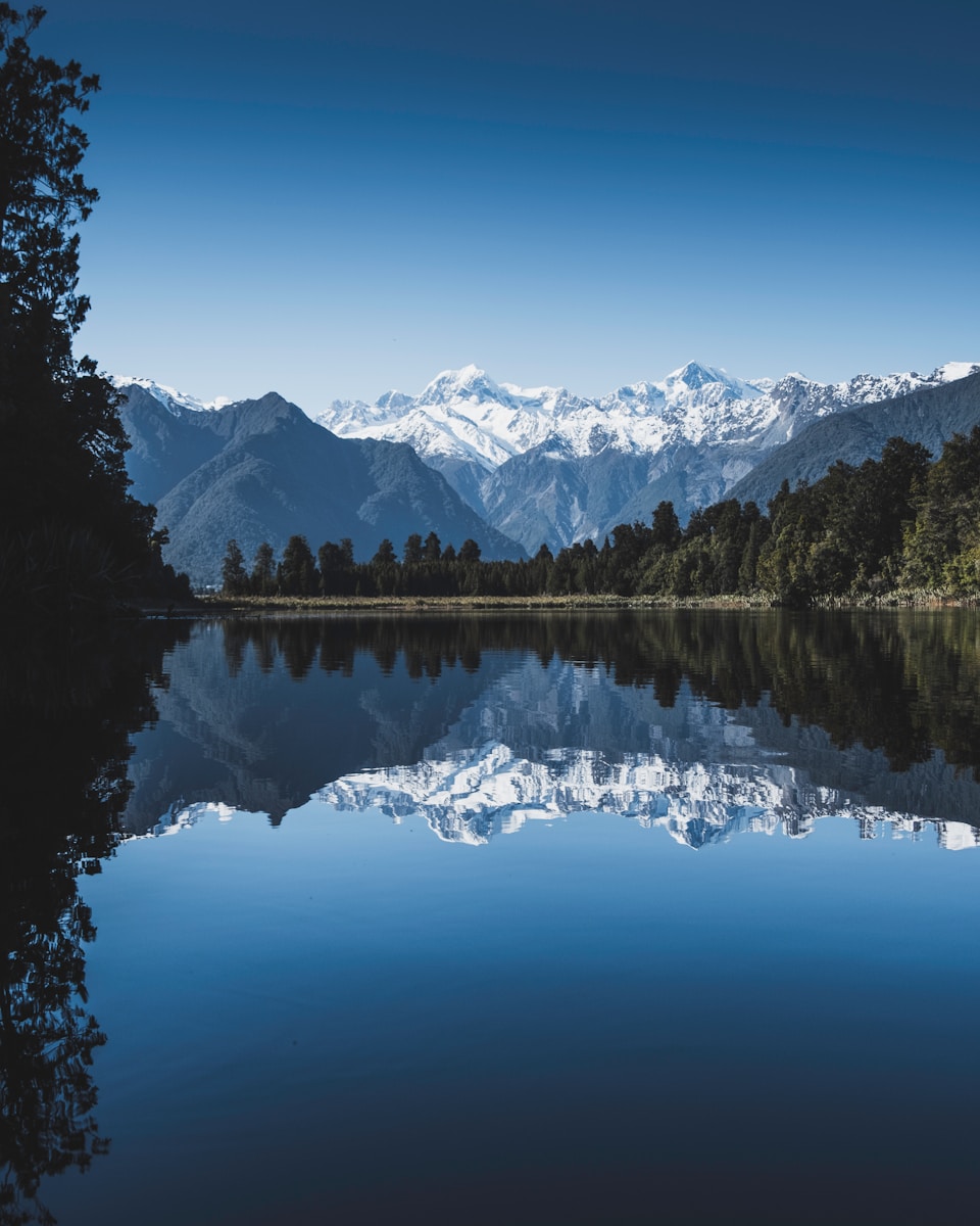 Scenic Road Trips in New Zealand: body of water between green trees under clear blue sky