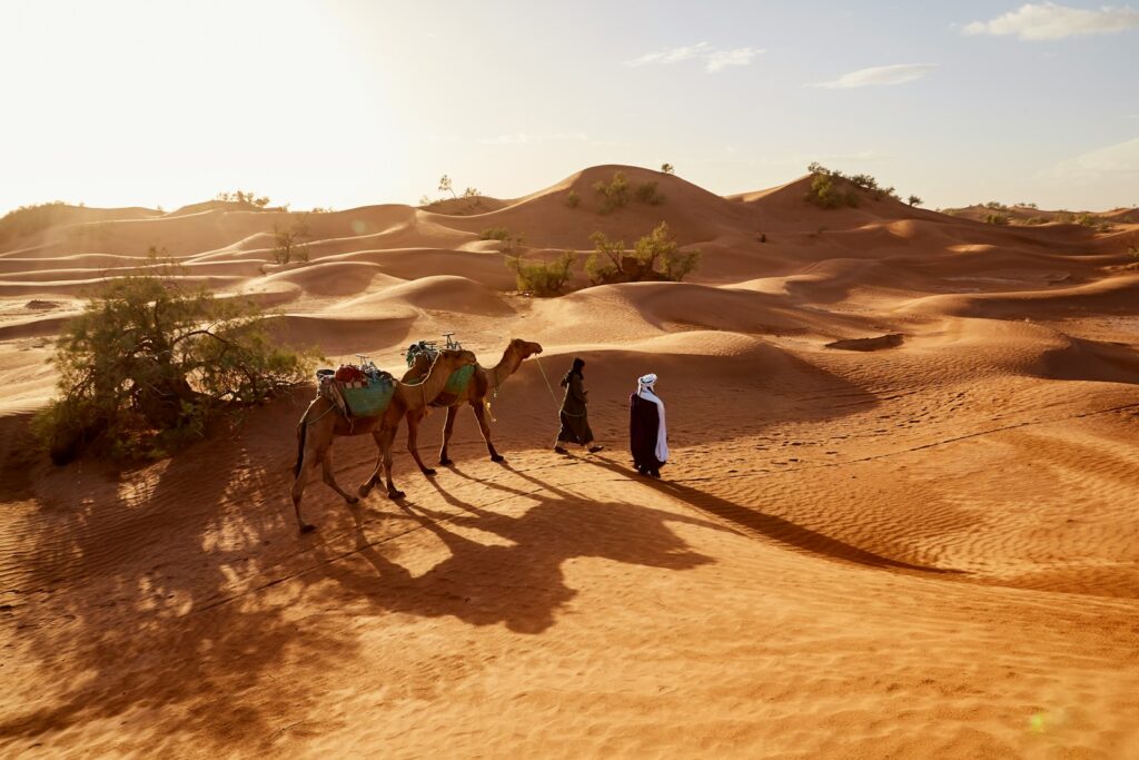 Best deserts to visit in the middle east: people walking with two camels walking on desert