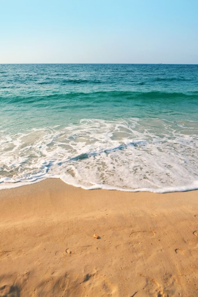 Best Beaches in Australia : seashore under clear blue sky during daytime