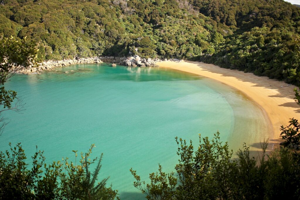 Top 8 wildlife experiences in Australia and New Zealand: Abel tasman, ocean photography