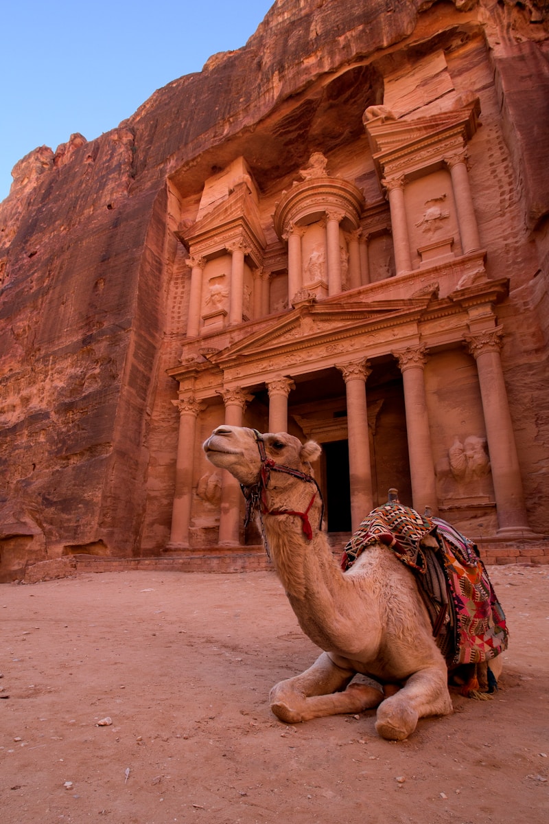 Petra Travel Guide: brown camel in front of brown rock formation during daytime